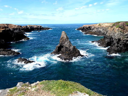 Photo of the Mendocino headlands I snapped a couple months ago