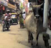 India street scene