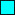 small cyan square