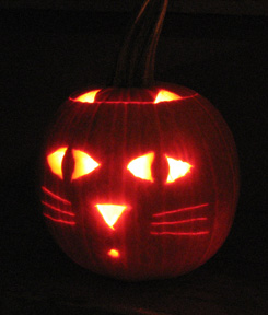 Pumpkins from Halloween 2005