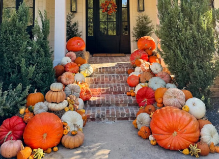 porch with staircase lined with gourds